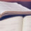 The Importance of Knowledge